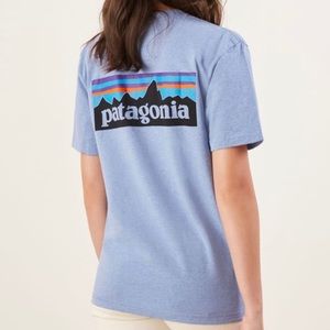 patagonia tee shirt
